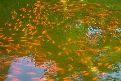 多家开发商表示为自家游戏加入AMD FSR相当轻松